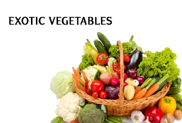 online Exotic Vegetable Rajkot