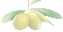 Online Regular Fruits Rajkot